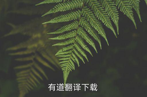 有道在線翻譯英語下載，有道英語下載