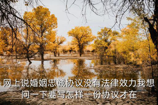 網(wǎng)上說婚姻忠誠協(xié)議沒有法律效力我想問一下要寫怎樣一份協(xié)議才在