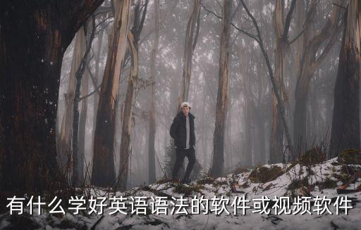 有什么學(xué)好英語語法的軟件或視頻軟件