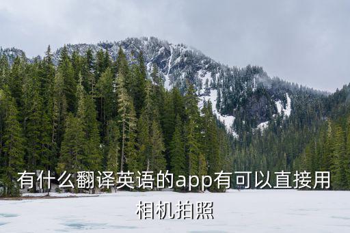 有道在線翻譯英語拍照，有什么翻譯英語的app有可以直接用相機(jī)拍照