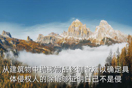 從建筑物中拋擲物品經(jīng)調(diào)查難以確定具體侵權(quán)人的除能夠證明自己不是侵