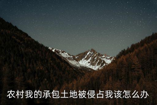 農(nóng)村我的承包土地被侵占我該怎么辦