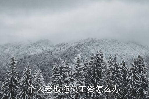 私人老板拖欠工資不給怎么辦，私人老板拖欠工資怎么辦