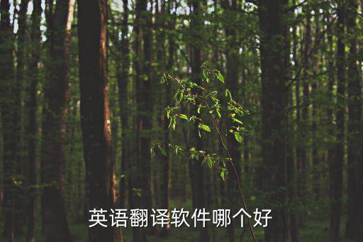 英語(yǔ)翻譯軟件哪個(gè)好