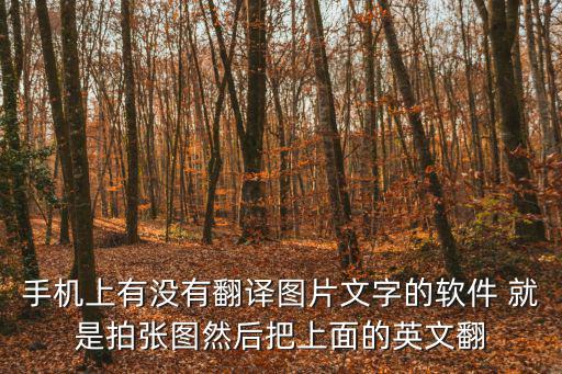 掃描英文翻譯成中文的app，什么軟件可以在線掃描紙上的英文翻譯成中文的
