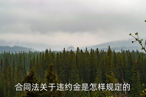 合同法關(guān)于違約金是怎樣規(guī)定的