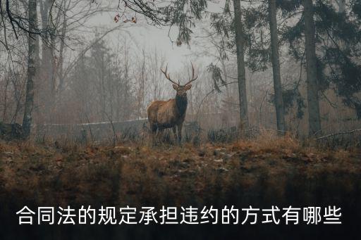 合同法的規(guī)定承擔(dān)違約的方式有哪些