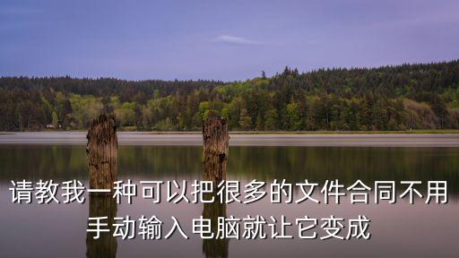 請(qǐng)教我一種可以把很多的文件合同不用手動(dòng)輸入電腦就讓它變成
