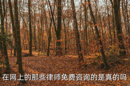 在網(wǎng)上的那些律師免費(fèi)咨詢的是真的嗎