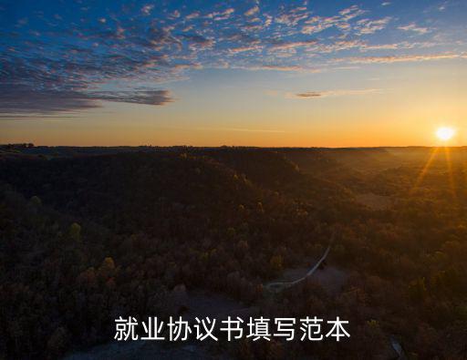 就業(yè)協(xié)議書填寫范本