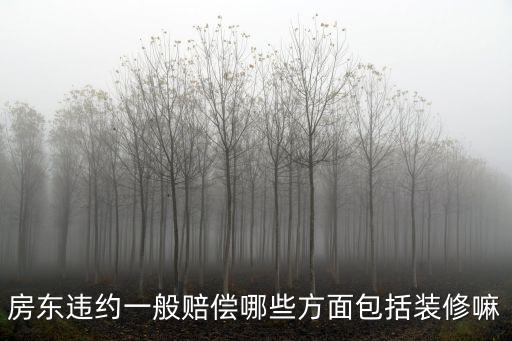 房東違約一般賠償哪些方面包括裝修嘛