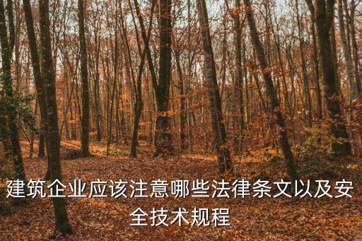 建筑企業(yè)應(yīng)該注意哪些法律條文以及安全技術(shù)規(guī)程
