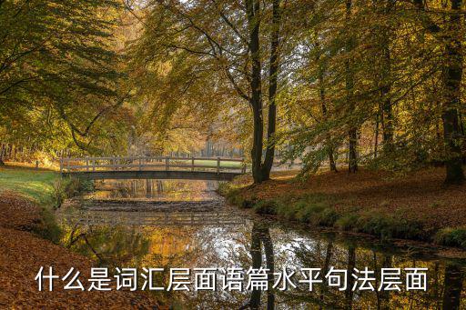 什么是詞匯層面語篇水平句法層面