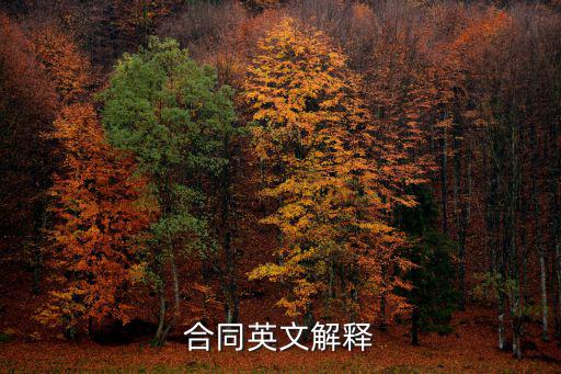 合同 英語怎么說，合同英文解釋