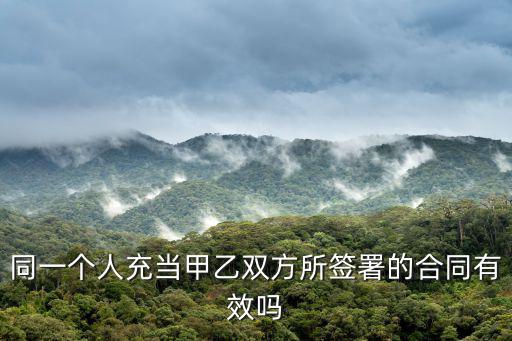 同一個(gè)人充當(dāng)甲乙雙方所簽署的合同有效嗎