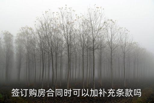 簽訂購房合同時可以加補充條款嗎