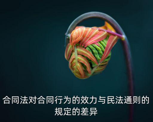 合同法對合同行為的效力與民法通則的規(guī)定的差異