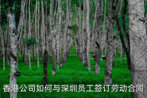 香港公司如何與深圳員工簽訂勞動(dòng)合同