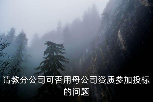 請教分公司可否用母公司資質(zhì)參加投標(biāo)的問題
