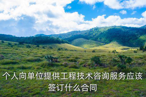 個人向單位提供工程技術咨詢服務應該簽訂什么合同