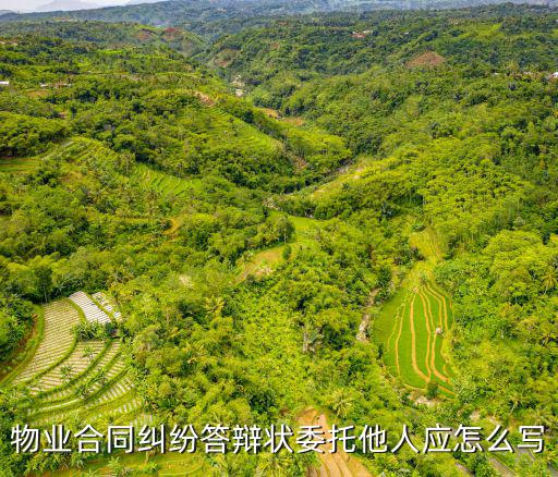 被物業(yè)起訴答辯狀應(yīng)該怎么寫，業(yè)主電動車丟失業(yè)主起訴物業(yè)保管合同糾紛答辯狀怎么寫呢謝謝