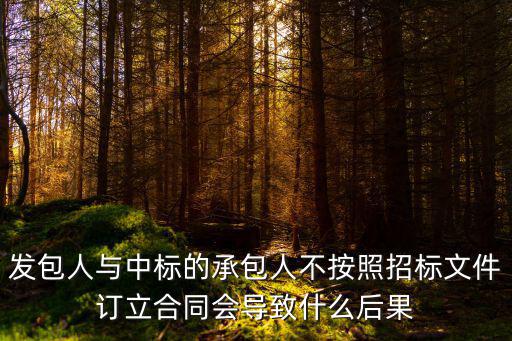 發(fā)包人與中標(biāo)的承包人不按照招標(biāo)文件訂立合同會導(dǎo)致什么后果