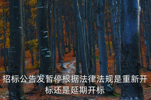 招標(biāo)暫停的有關(guān)規(guī)定，政府采購(gòu)施工項(xiàng)目招標(biāo)人在開(kāi)標(biāo)期間提出暫停招標(biāo)時(shí)間節(jié)點(diǎn)問(wèn)題  搜