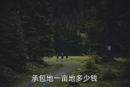 承包地一畝地多少錢(qián)