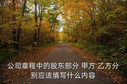 甲方乙方格式模板，合同甲方乙方