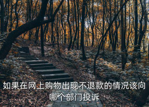 如果在網(wǎng)上購物出現(xiàn)不退款的情況該向哪個部門投訴