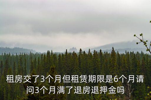 租房交了3個月但租賃期限是6個月請問3個月滿了退房退押金嗎