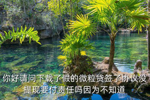 假的app貸款簽了合同，被假小米金融騙簽了貸款合同怎么辦