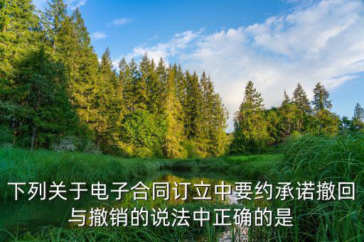 下列關(guān)于電子合同訂立中要約承諾撤回與撤銷的說法中正確的是