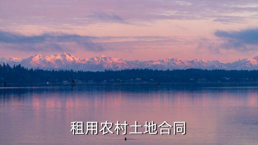 租用農(nóng)村土地合同