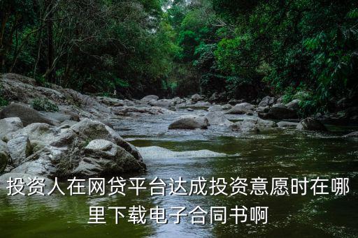 投資人在網(wǎng)貸平臺達(dá)成投資意愿時在哪里下載電子合同書啊