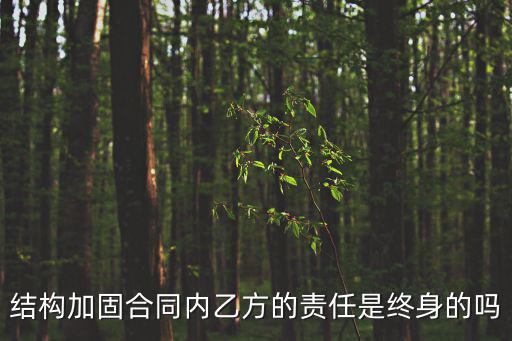結(jié)構(gòu)加固合同內(nèi)乙方的責(zé)任是終身的嗎