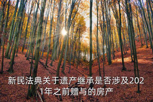新民法典關(guān)于遺產(chǎn)繼承是否涉及2021年之前贈與的房產(chǎn)