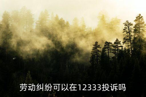 勞動合同咨詢12333嗎，勞動糾紛可以在12333投訴嗎