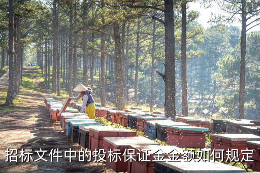 招投標(biāo)實施條例 投標(biāo)保證金，招標(biāo)文件中的投標(biāo)保證金金額如何規(guī)定