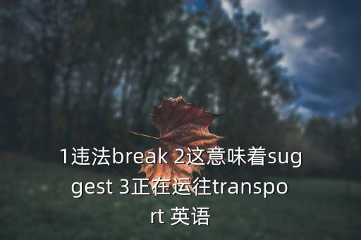 1違法break 2這意味著suggest 3正在運往transport 英語