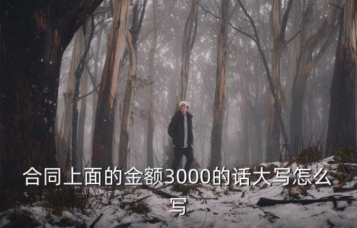 合同上面的金額3000的話大寫怎么寫