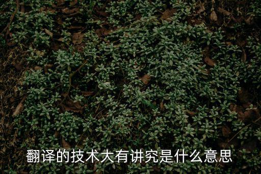 翻譯的技術(shù)大有講究是什么意思