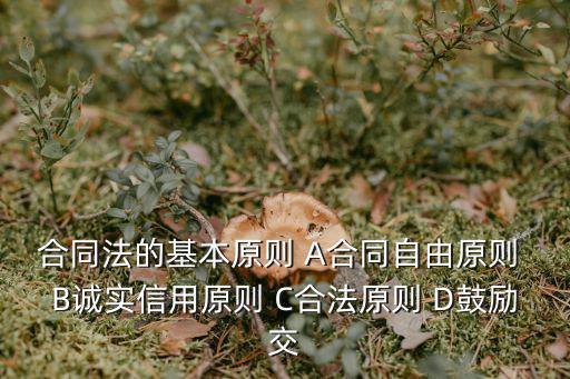 合同法的基本原則 A合同自由原則 B誠實信用原則 C合法原則 D鼓勵交