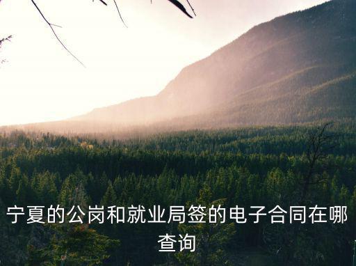 寧夏的公崗和就業(yè)局簽的電子合同在哪查詢