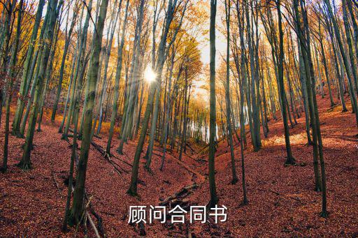 咨詢顧問服務協(xié)議，顧問合同書