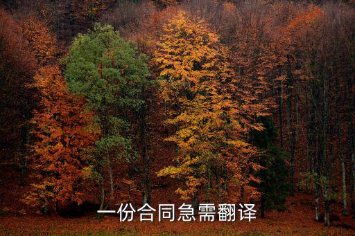 一份完整的合同英文翻譯，一份合同急需翻譯