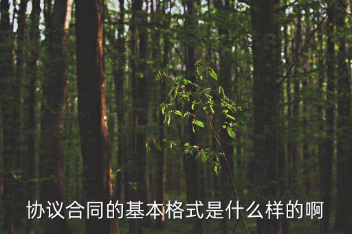 協(xié)議合同的基本格式是什么樣的啊