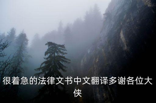 法律文書翻譯 范例，法律文書怎么寫