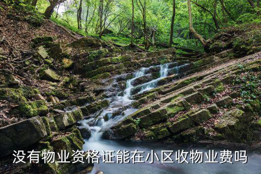 沒有物業(yè)資格證能在小區(qū)收物業(yè)費(fèi)嗎