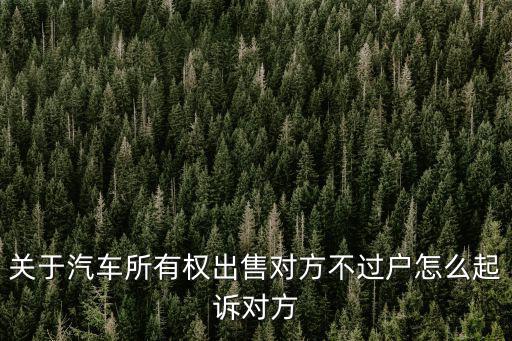對(duì)方不過(guò)戶怎么起訴，汽車賣了可買車人不過(guò)戶請(qǐng)問(wèn)我以什么法律條款起訴